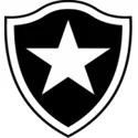 Botafogo RJ Youth