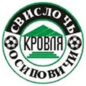 Osipovichi