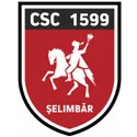 CSC 1599 Selimbar