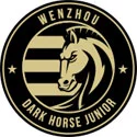 Wenzhou Professional