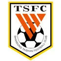 Shandong Taishan B