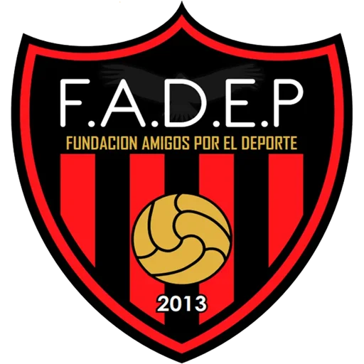 Fundacion Amigos