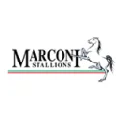 Marconi Stallions